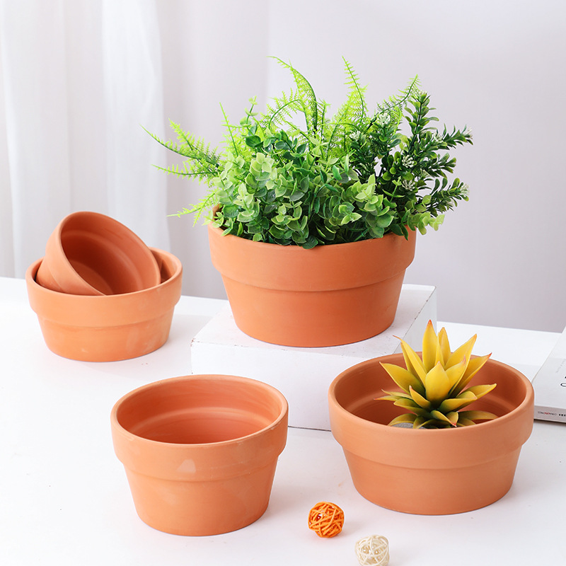 Cactus Mix Pot - Round Plant Pot Tray with Drainage