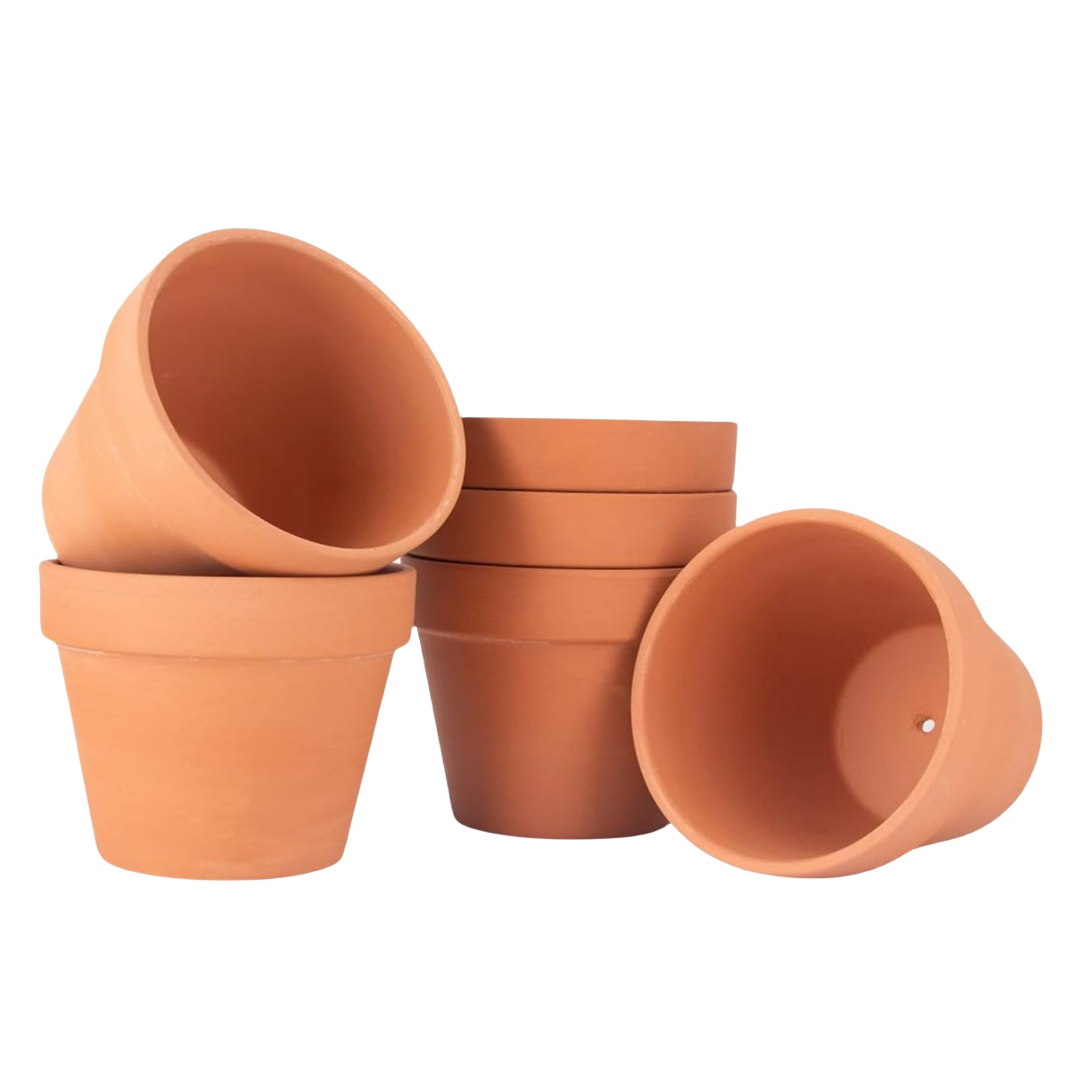 6pcs 4 inch Terracotta Pots Fl - Cactus Mix Pot ulasan dan harga