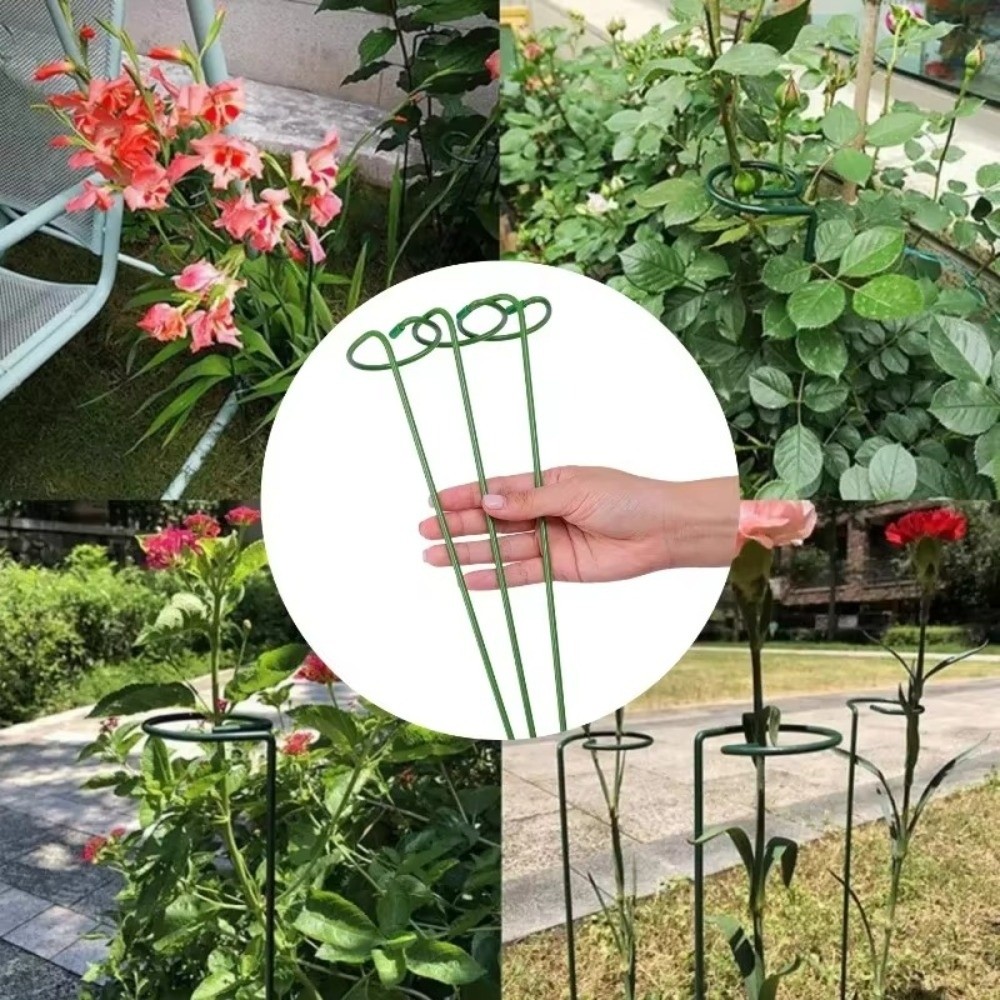 New Metal Support Frame Anti-d - Plant Parent Tools ulasan dan harga
