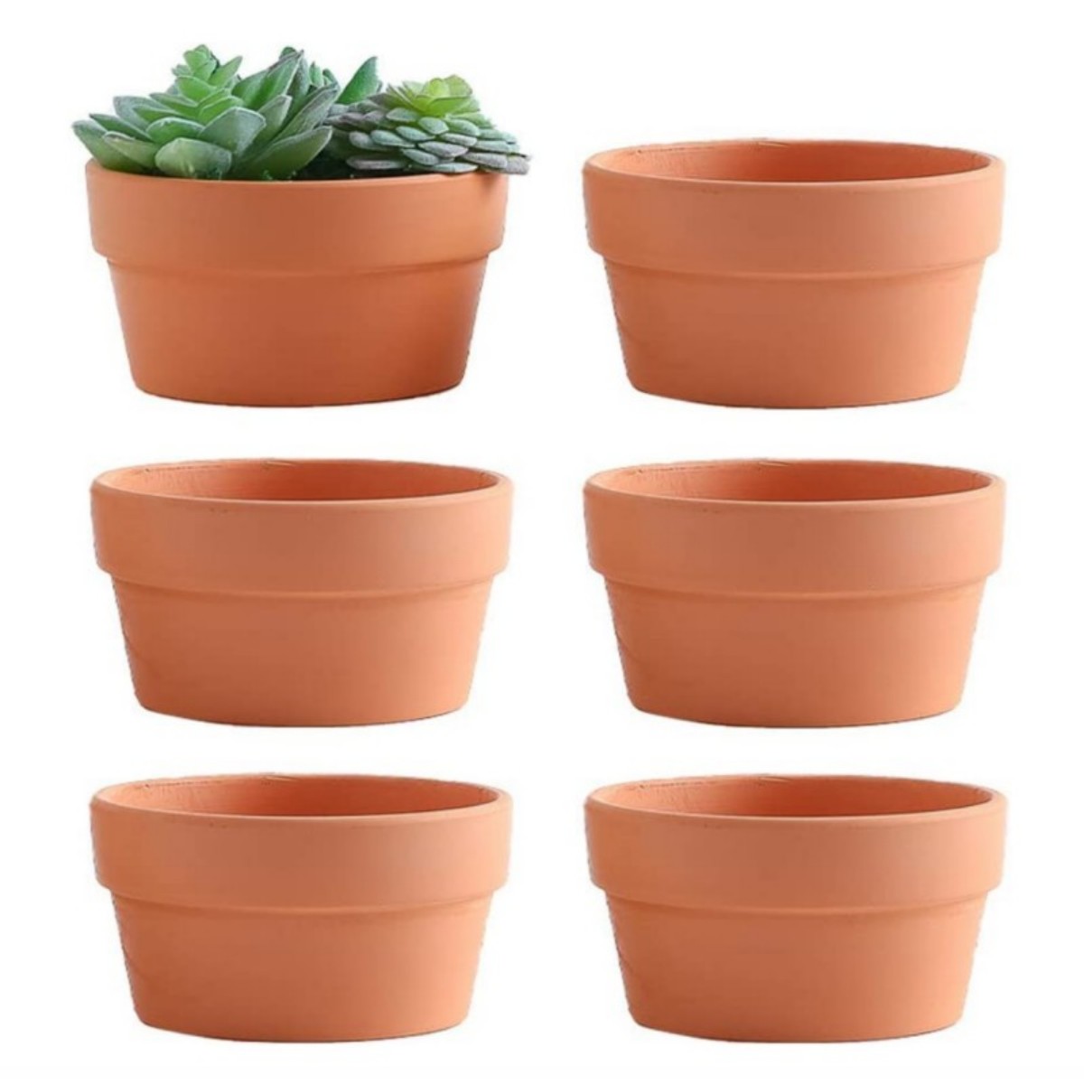 6 PCS Terracotta Buld Pots 3.5 - Cactus Mix Pot ulasan dan harga
