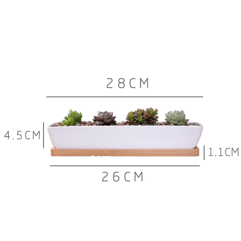 Long Rectangle White Ceramic S - Cactus Mix Pot ulasan dan harga