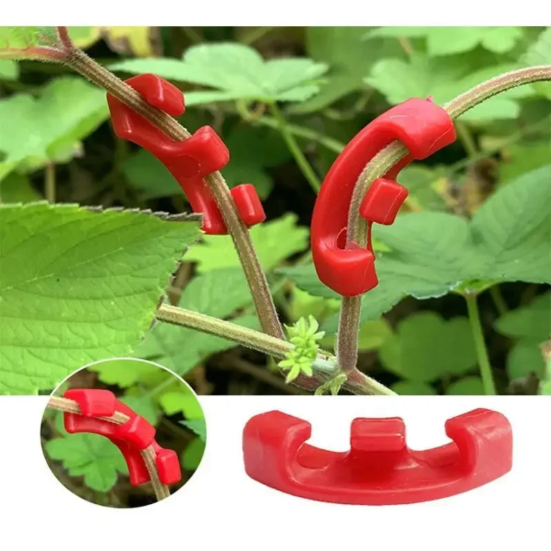 10-100Pcs 90 Degree Plant Bend - Plant Parent Tools ulasan dan harga
