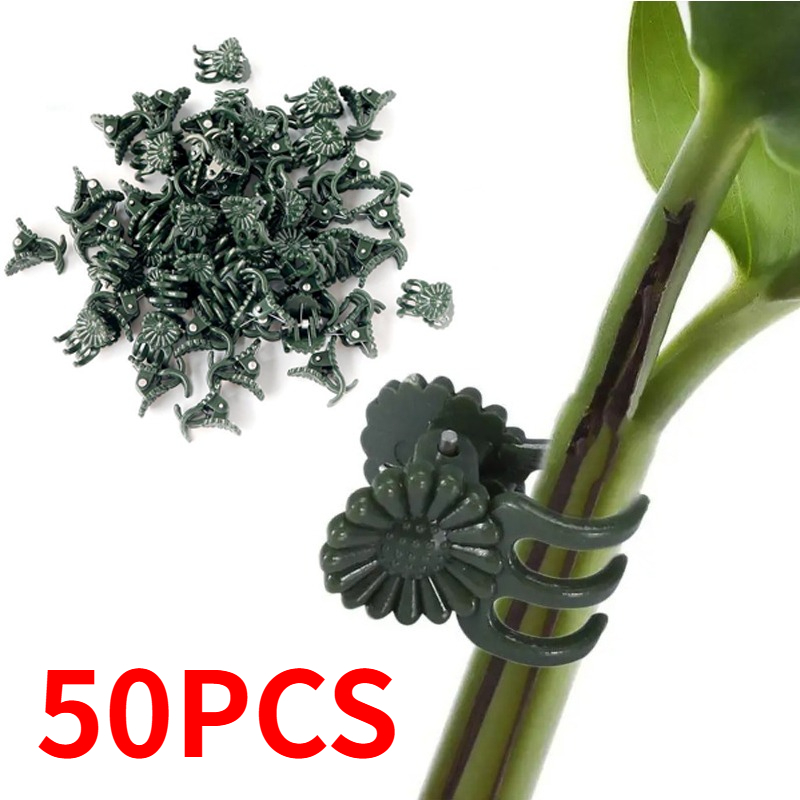 50PCS 5-Claw Dark Green Plant  - Plant Parent Tools ulasan dan harga