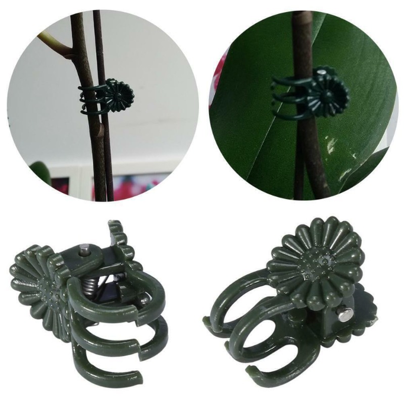 50PCS 5-Claw Dark Green Plant  - Plant Parent Tools ulasan dan harga