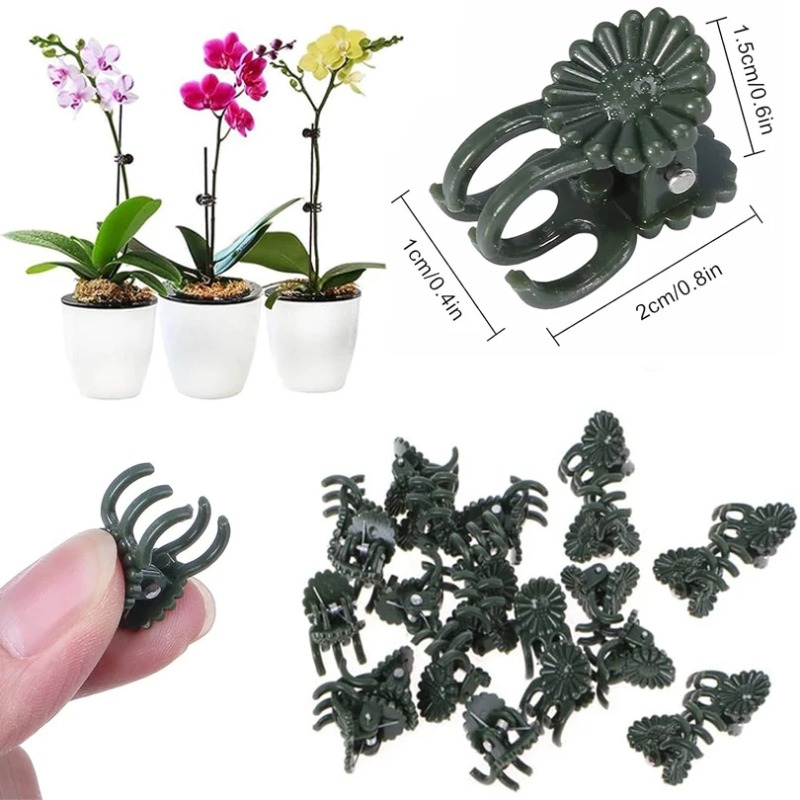 50PCS 5-Claw Dark Green Plant  - Plant Parent Tools ulasan dan harga