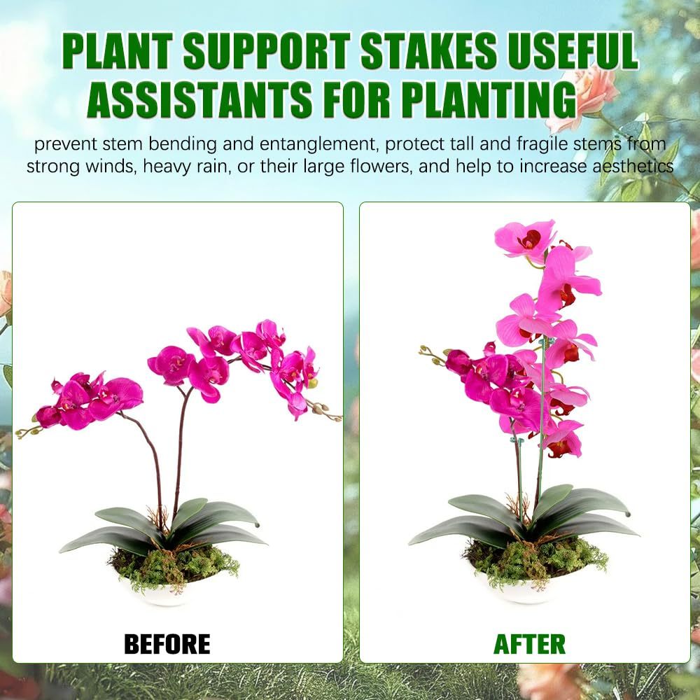 5/10PCS Plant Supports Stand B - Plant Parent Tools ulasan dan harga