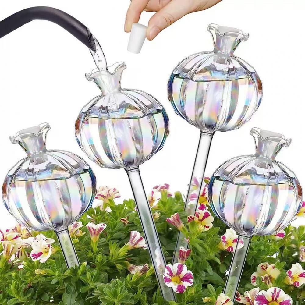 24cm Cactus Self Watering Bulb - Cactus Mix Pot ulasan dan harga