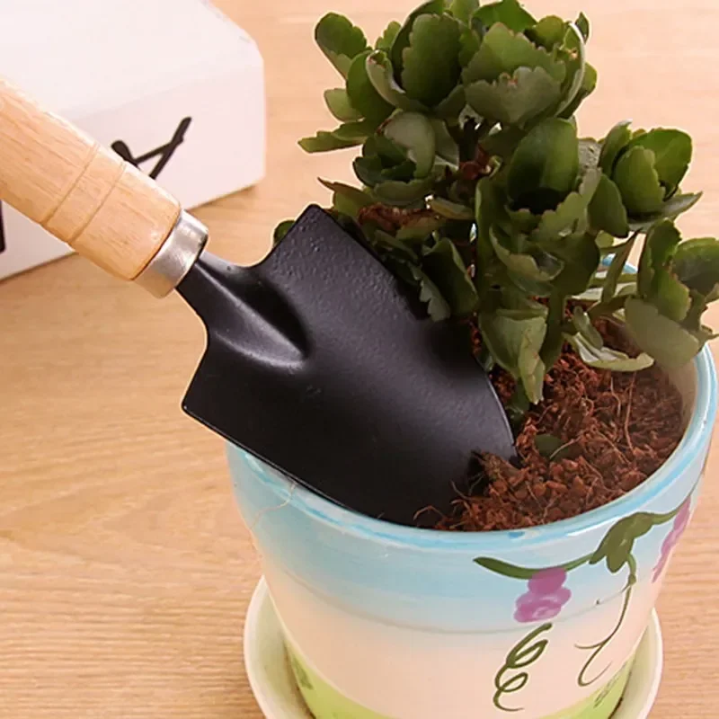 3Pcs/Set Mini Garden Tool Set  - Cactus Mix Pot ulasan dan harga