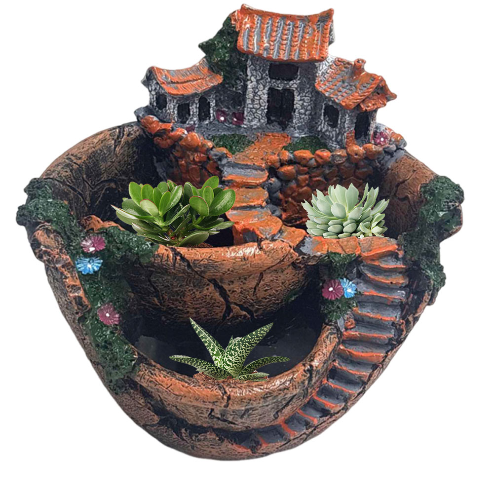 Succulent Pot Vintage Multi Po - Cactus Mix Pot ulasan dan harga