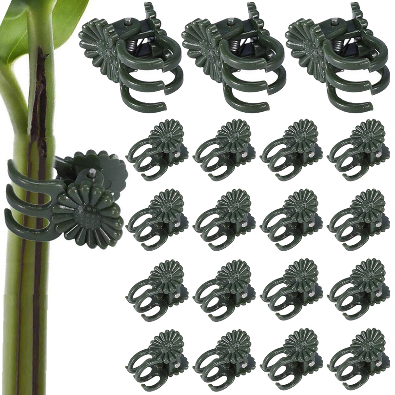 20/50/100PCS Plant Clips Vine  - Plant Parent Tools ulasan dan harga