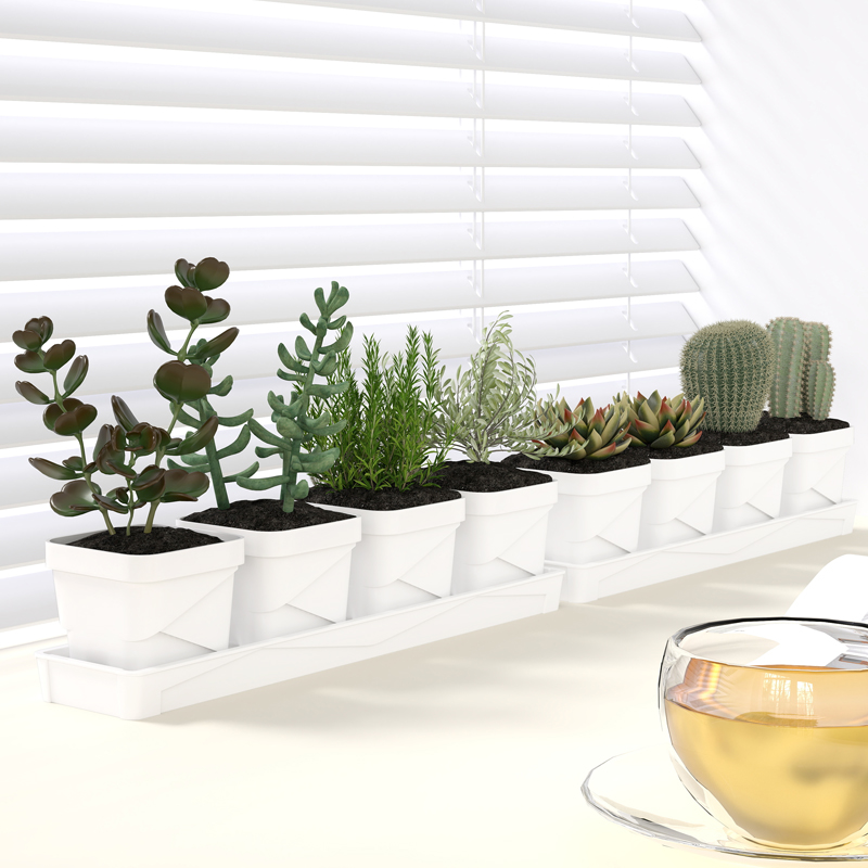 Nordic Minimalist Succulent Po - Cactus Mix Pot ulasan dan harga