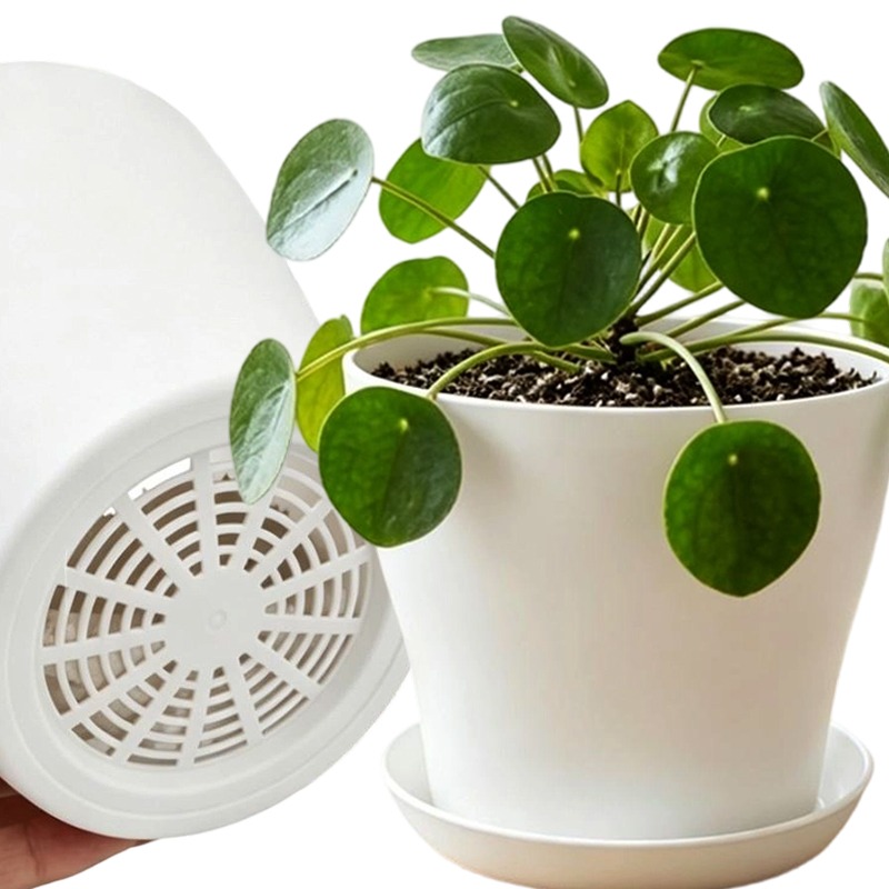 Plant Pot Set with Drainage Ho - Cactus Mix Pot ulasan dan harga