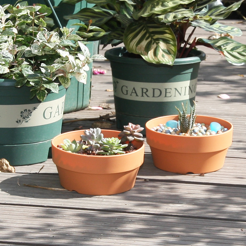 Round Plant Pot Tray with Drai - Cactus Mix Pot ulasan dan harga