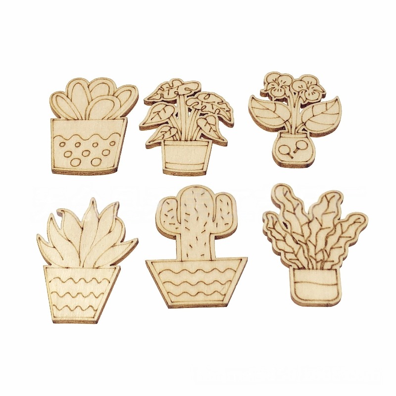 50PCS Mixed Styles Flower Cact - Cactus Mix Pot ulasan dan harga