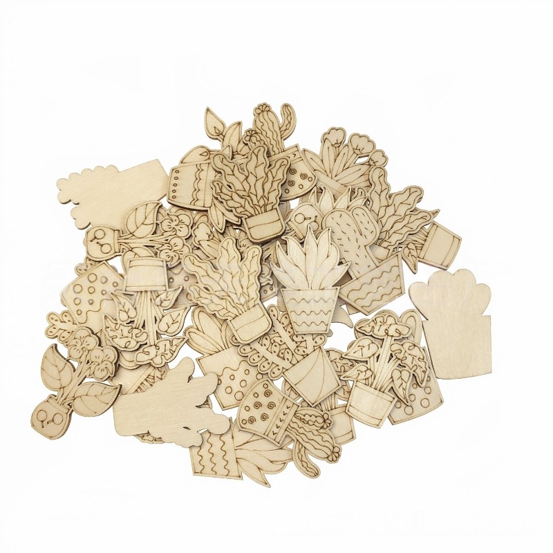 50PCS Mixed Styles Flower Cact - Cactus Mix Pot ulasan dan harga