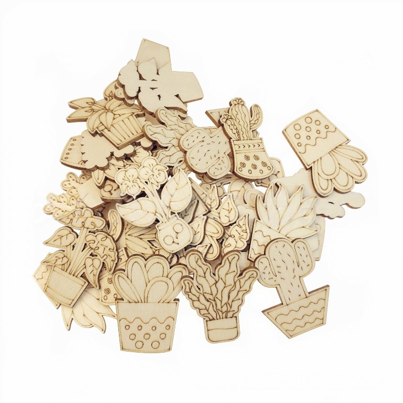 50PCS Mixed Styles Flower Cact - Cactus Mix Pot ulasan dan harga
